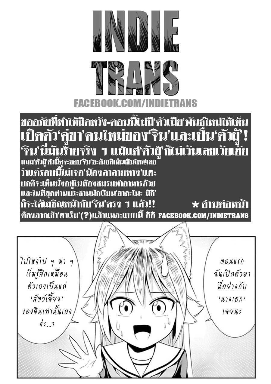 อ่านมังง