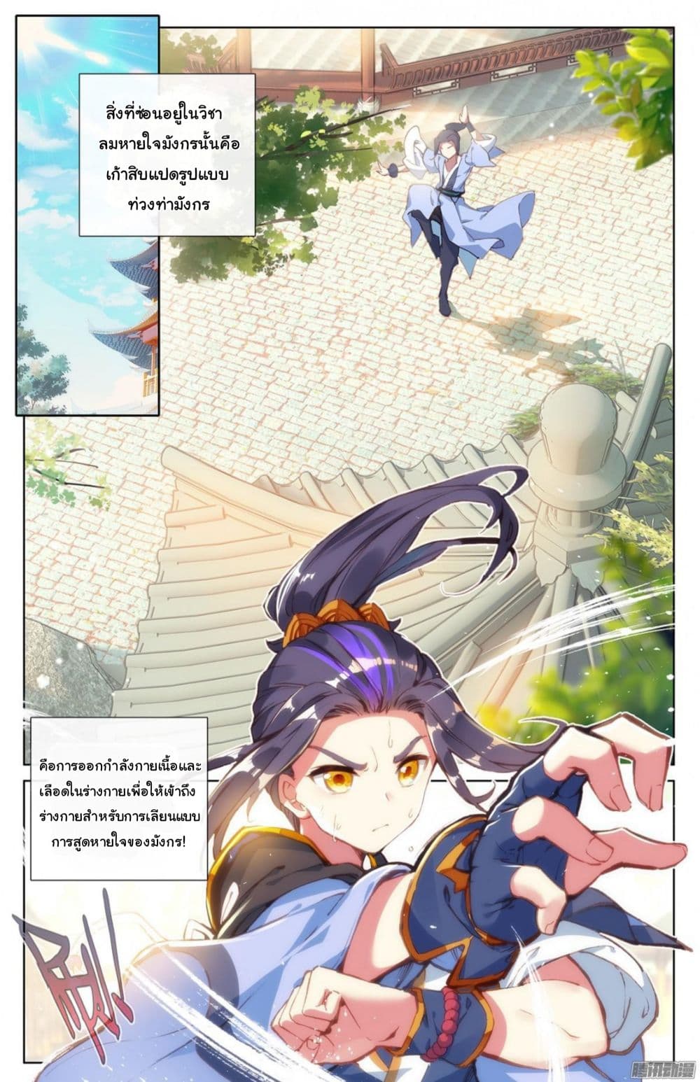 อ่าน Yuan zun