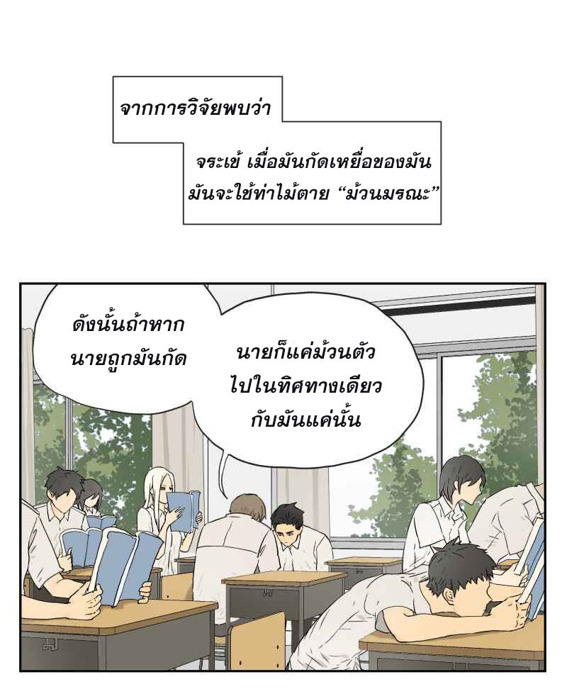 อ่านมังงะ